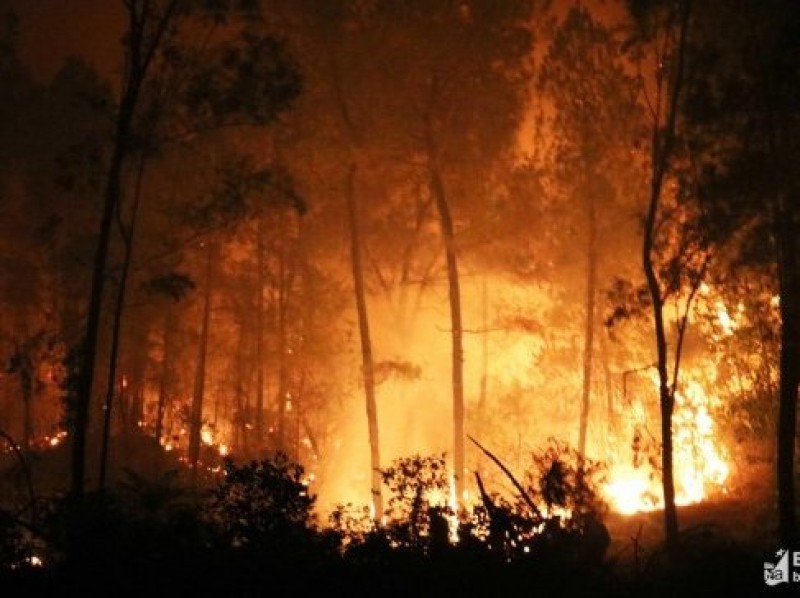 cháy rừng tại hai tỉnh Nghệ An và Hà Tĩnh
