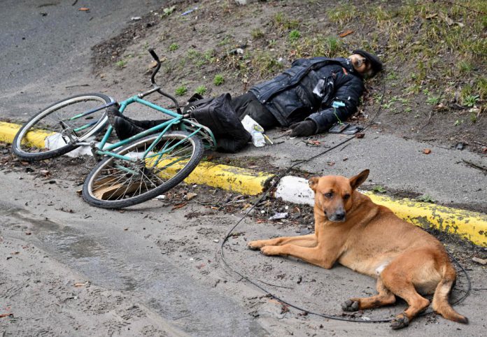 ukraine-Xác người dân nằm bên vệ đường, bên chiếc xe đạp và con chó ở Bucha.